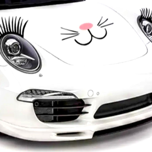 Car Lashes - Picture 8 of 11